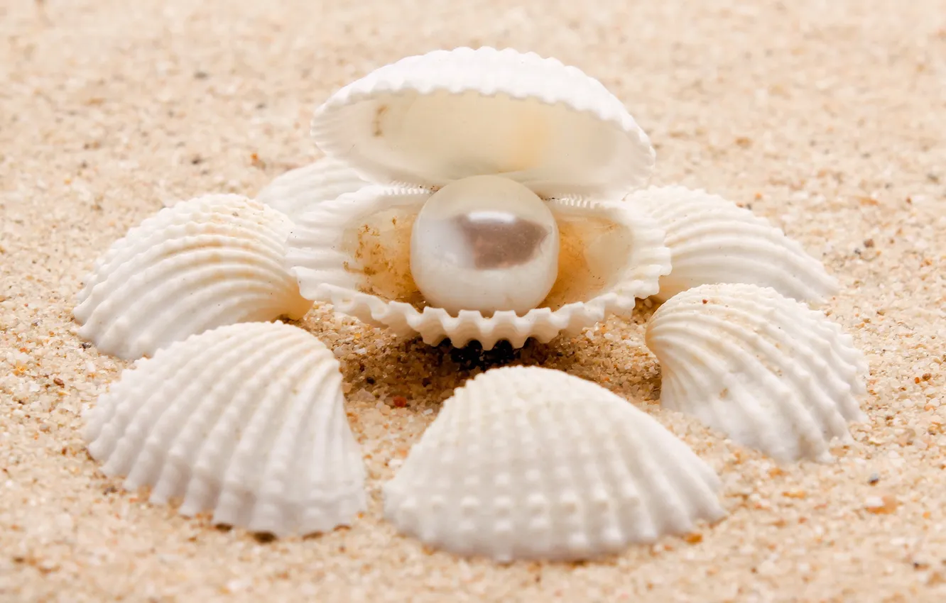 Photo wallpaper sand, sea, nature, sea, nature, pearl, sand, pearl