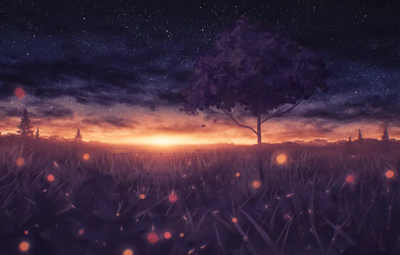 Photo wallpaper trees, sunset, nature, fireflies