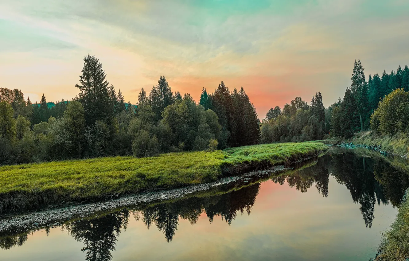 Photo wallpaper forest, the sky, clouds, trees, reflection, river, shore, morning