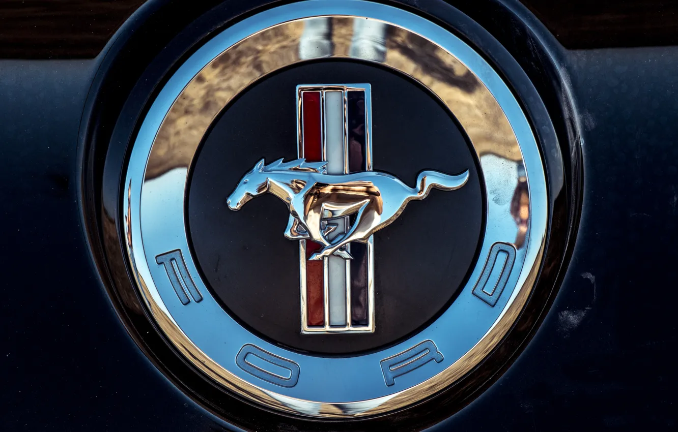 Photo wallpaper car, mustang, Mustang, Ford, ford mustang, Ford Mustang