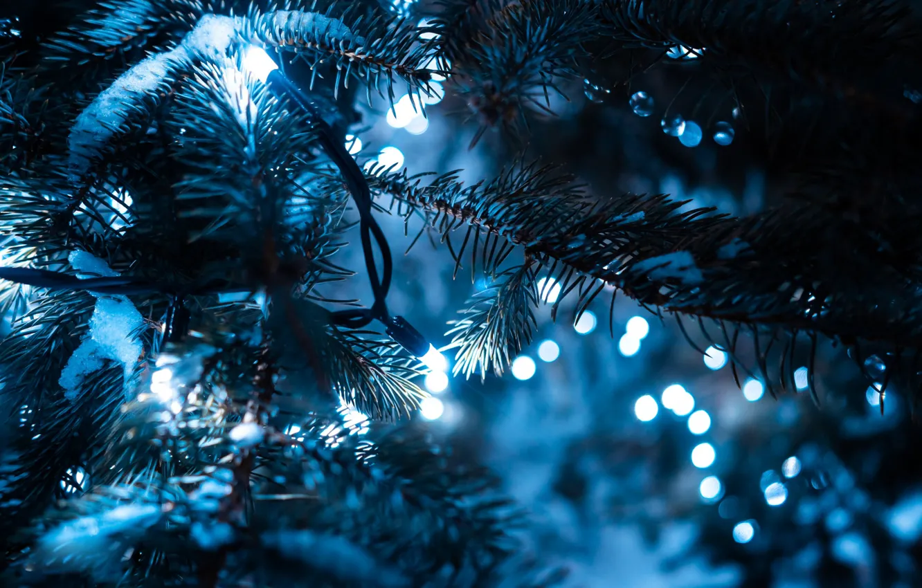 Photo wallpaper tree, new year, garland, bokeh