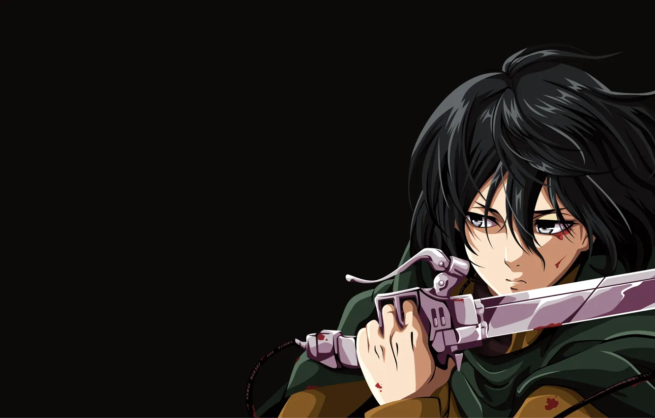 Photo wallpaper weapons, blood, Attack Of The Titans, Shingeki No Kyojin, Mikasa Ackerman