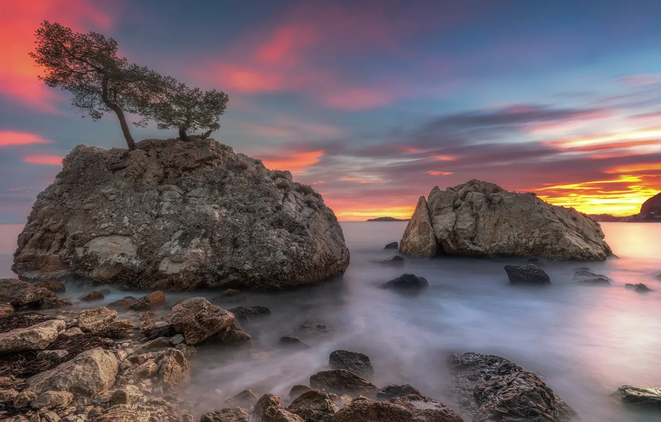 Photo wallpaper sea, the sky, clouds, trees, sunset, stones, rocks, shore