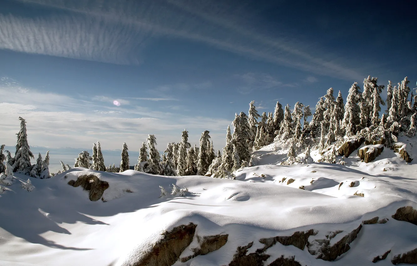 Photo wallpaper winter, forest, the sky, snow, mountains