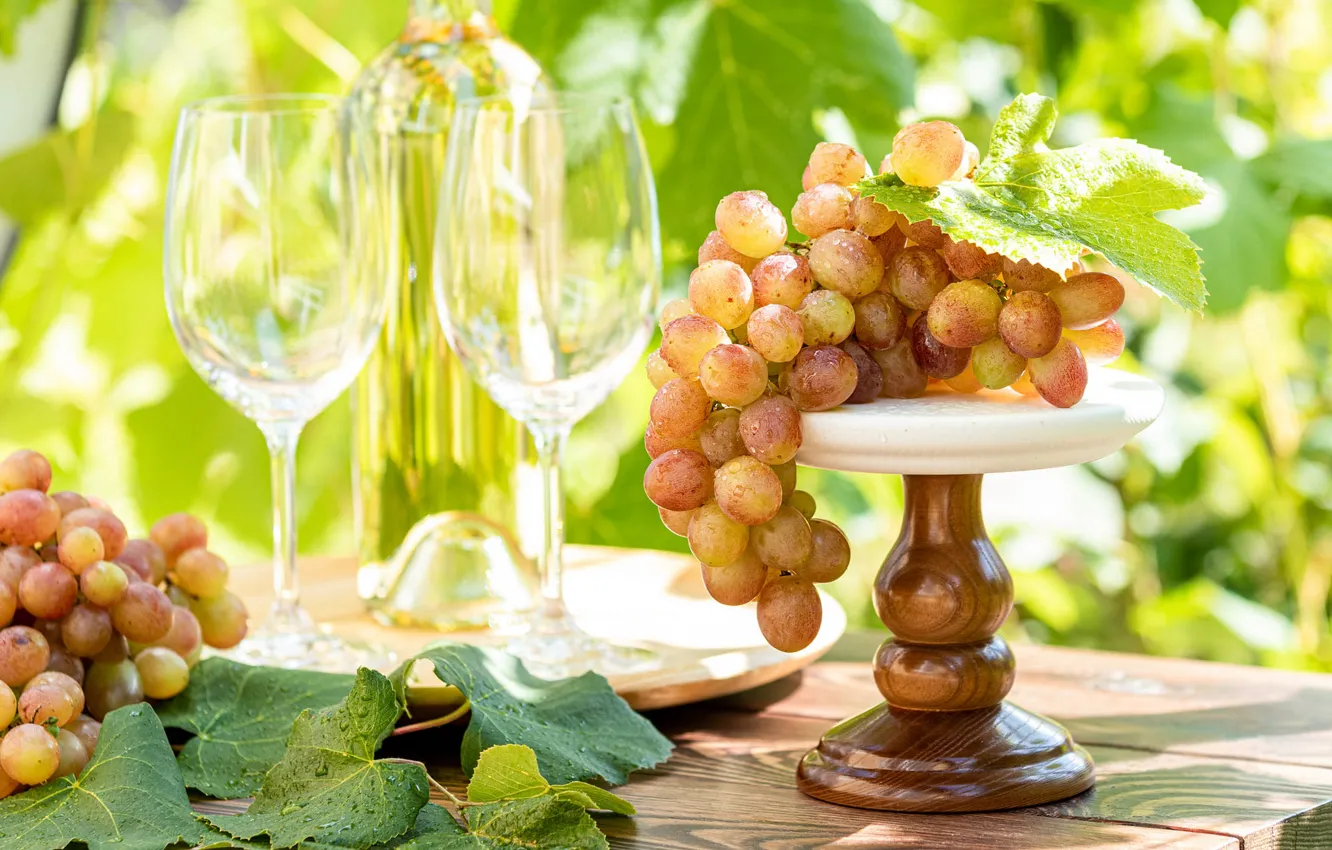 Photo wallpaper greens, summer, glass, leaves, drops, light, nature, table