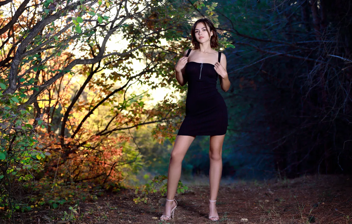 Photo wallpaper Titillating, Stunning beauty, leaves, bewitching beauty, multi-colored, trees, sexy brunette, bushes