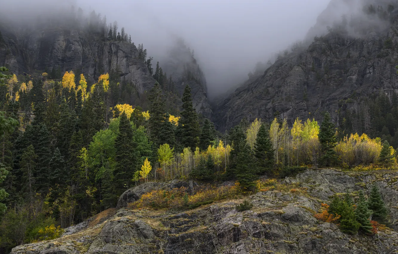 Photo wallpaper autumn, forest, trees, mountains, fog, stones, rocks, view