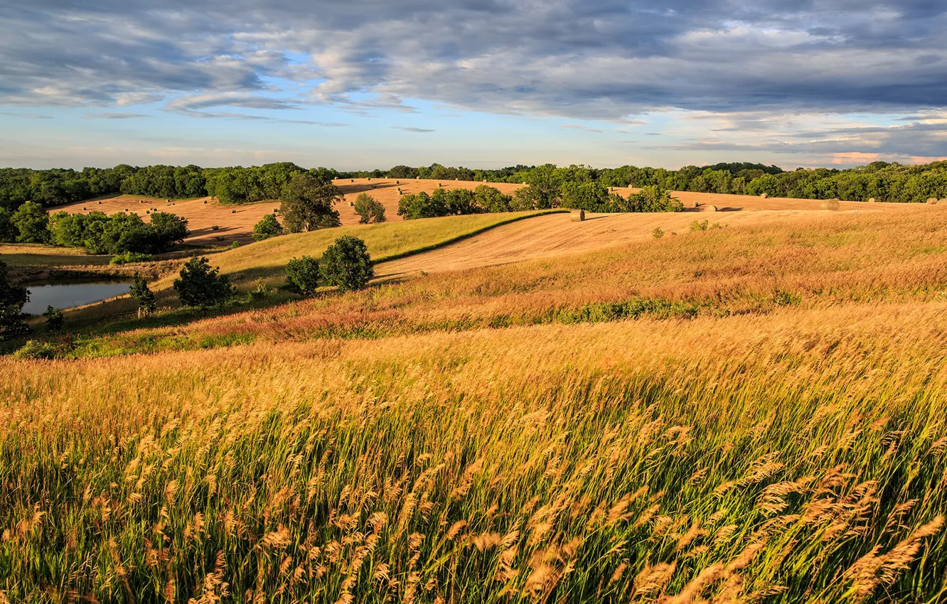 Photo wallpaper field, autumn, hay, bales, Kip