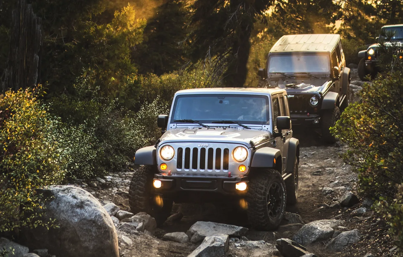 Photo wallpaper auto, lights, jeep, SUV, three, Wrangler, Jeep, The roads