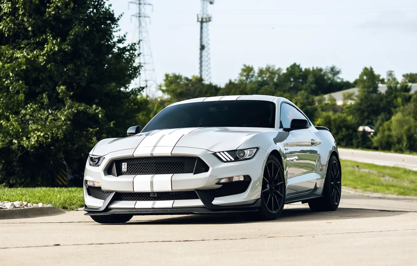 Photo wallpaper Mustang, Ford, Shelby, GT350