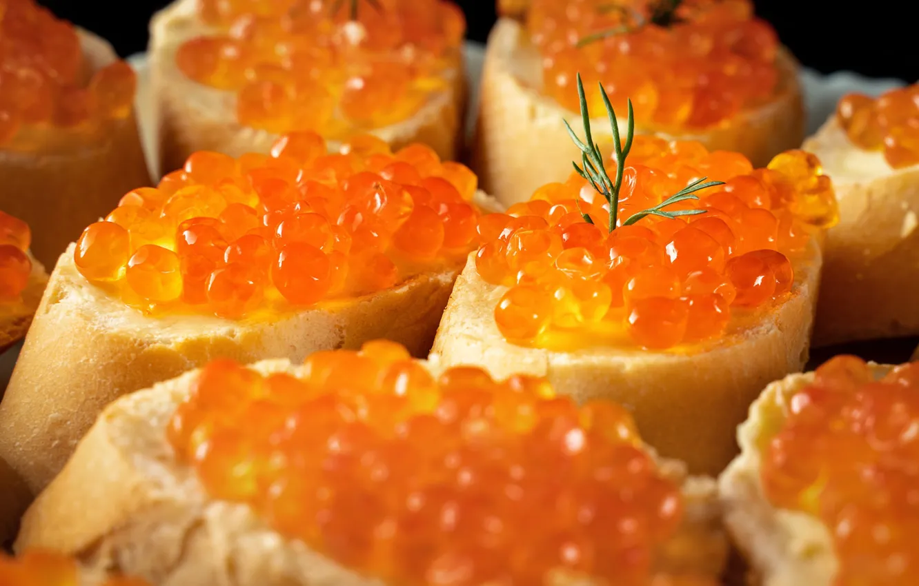 Photo wallpaper macro, dill, bread, a lot, caviar, red caviar, sandwiches, appetizer