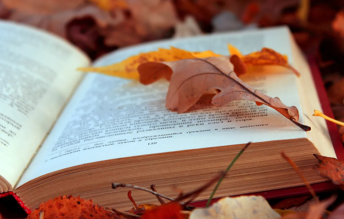 Photo wallpaper autumn, leaves, book