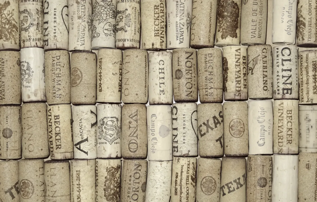 Photo wallpaper macro, background, tube