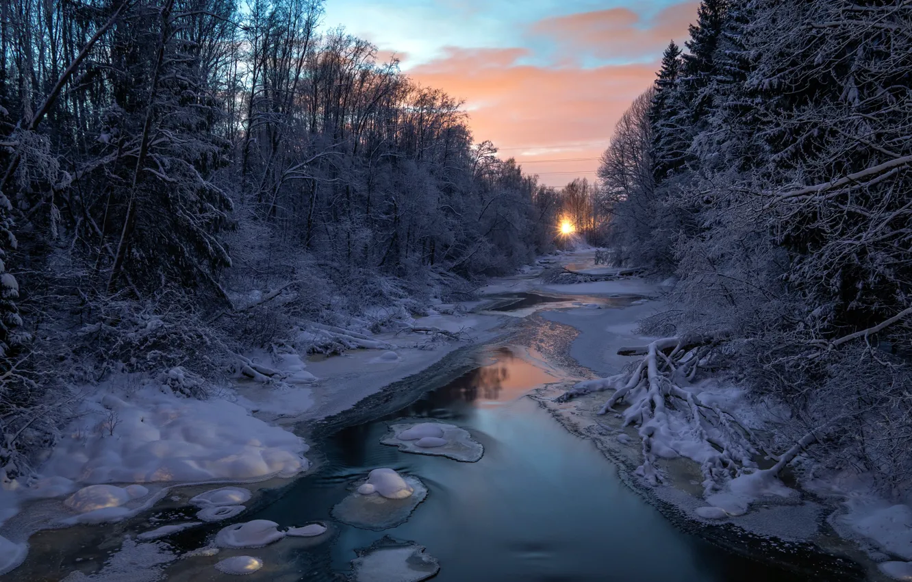 Photo wallpaper winter, forest, river, morning