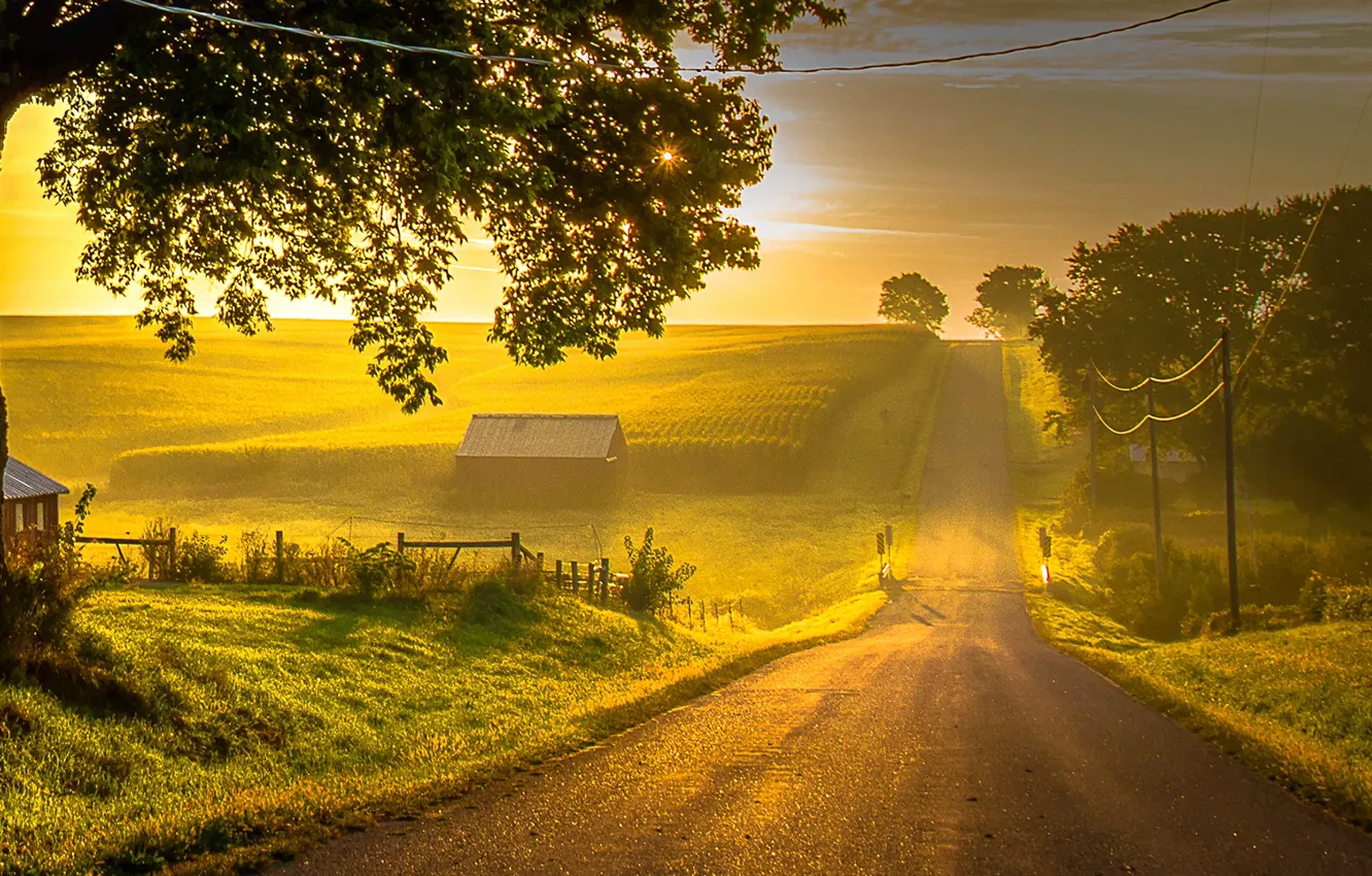 Photo wallpaper road, dawn, morning, village, Sultry Morning