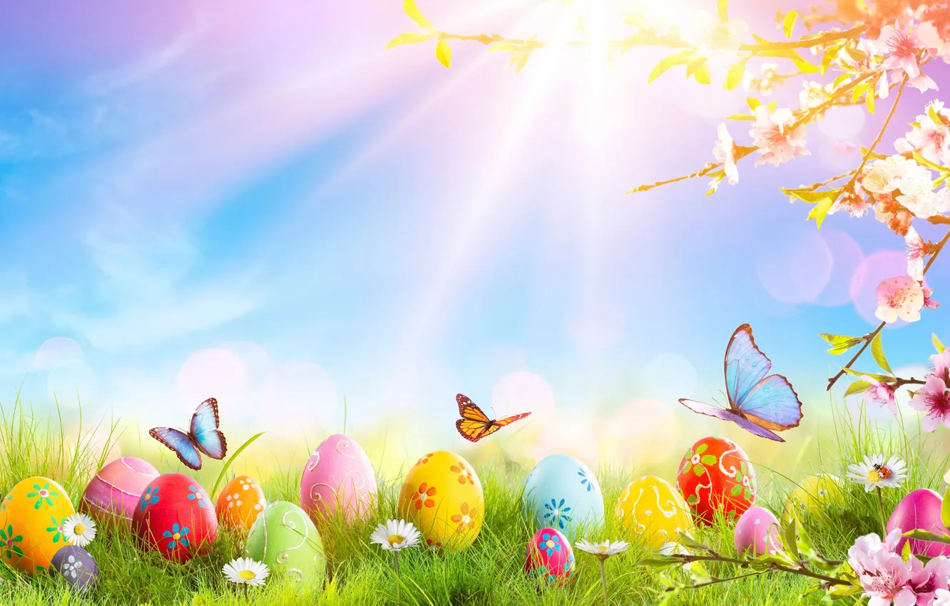 Photo wallpaper flowers, eggs, spring, colorful, Easter, blossom, flowers, spring