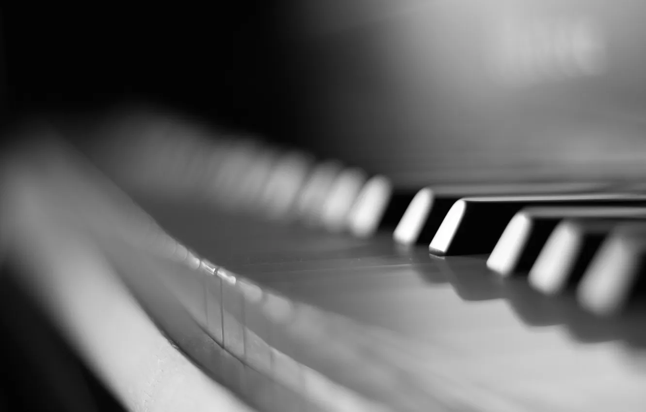 Photo wallpaper macro, keys, black and white, piano
