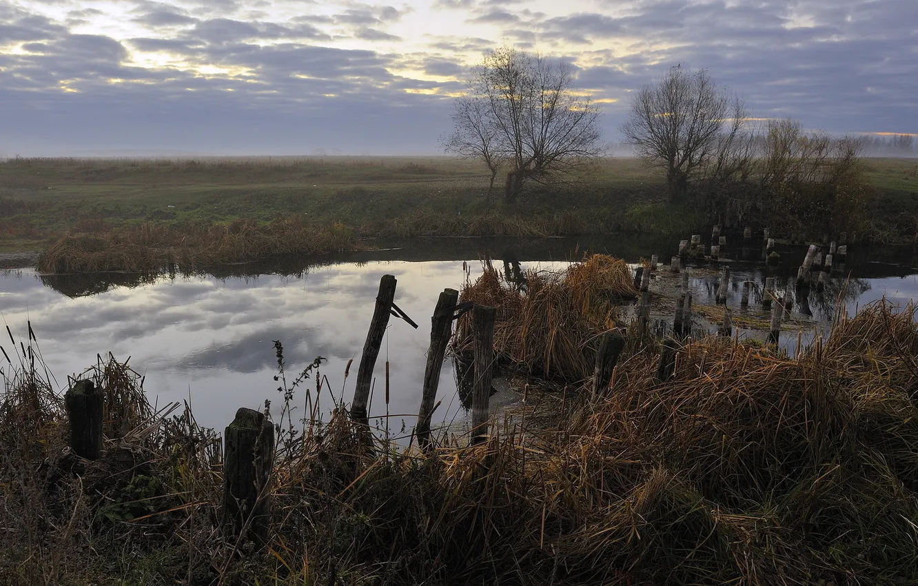 Photo wallpaper landscape, bridge, nature, river, morning