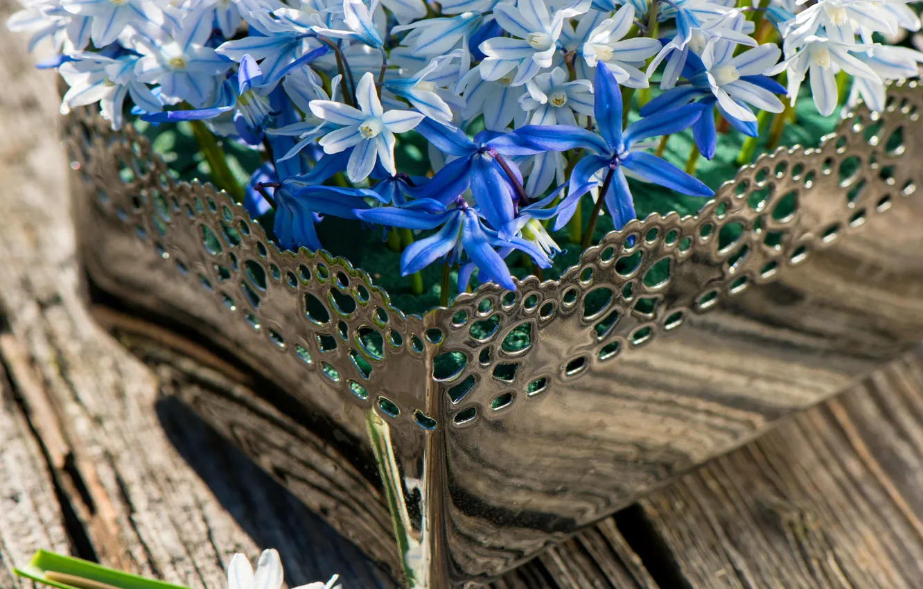 Photo wallpaper wood, flowers, spring, basket, hyacinths