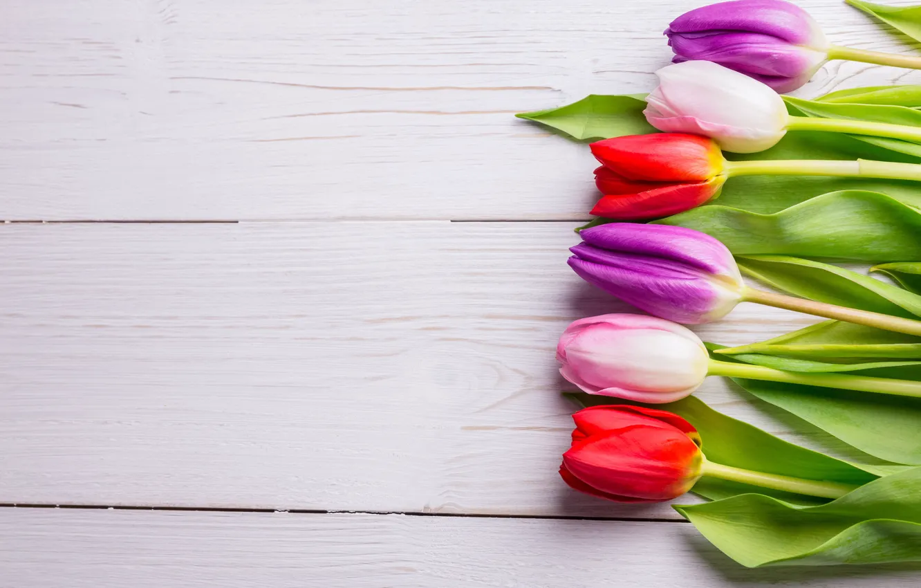Photo wallpaper flowers, bouquet, colorful, tulips, red, white, wood, flowers