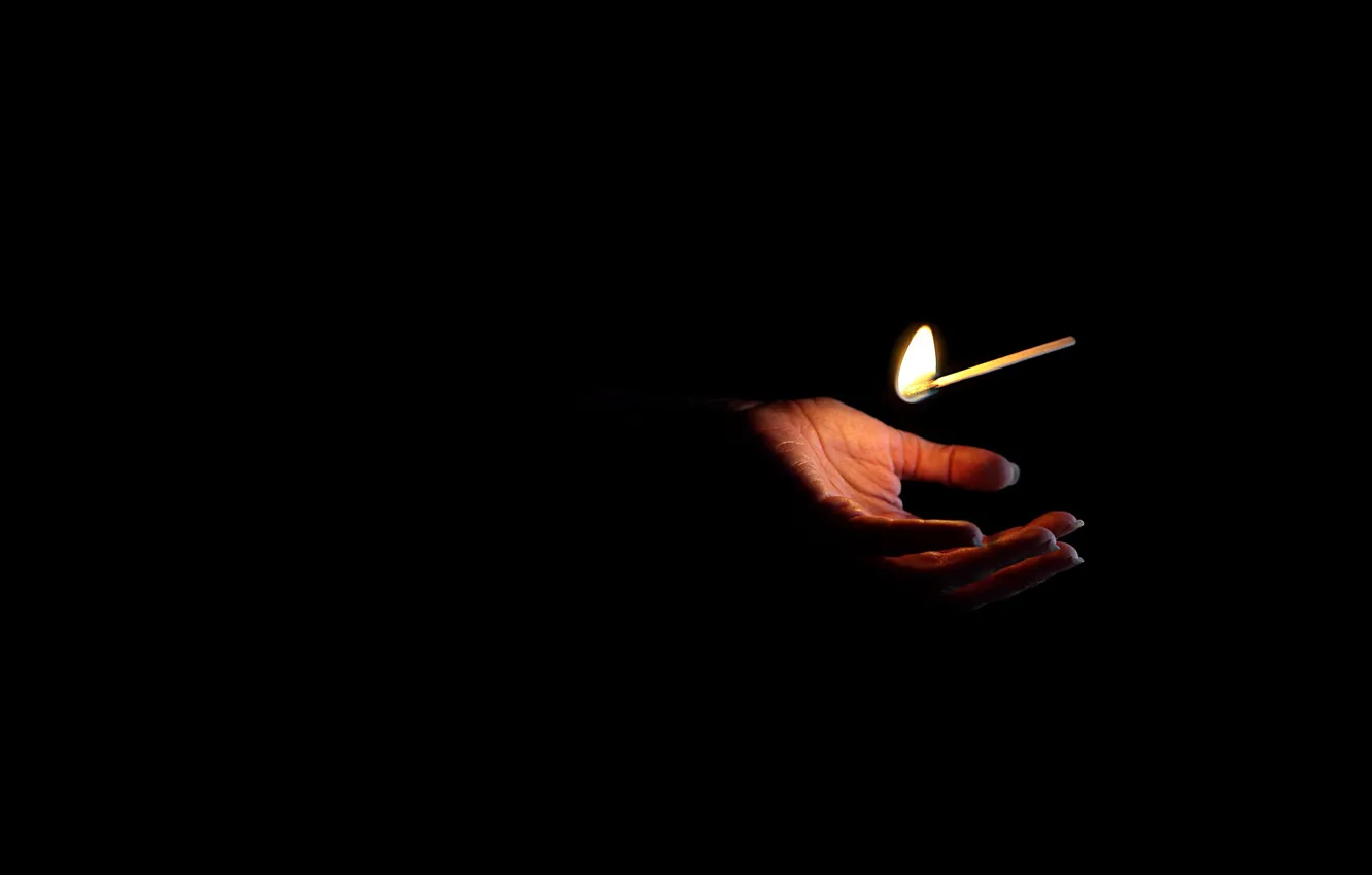 Photo wallpaper lights, matches, palm