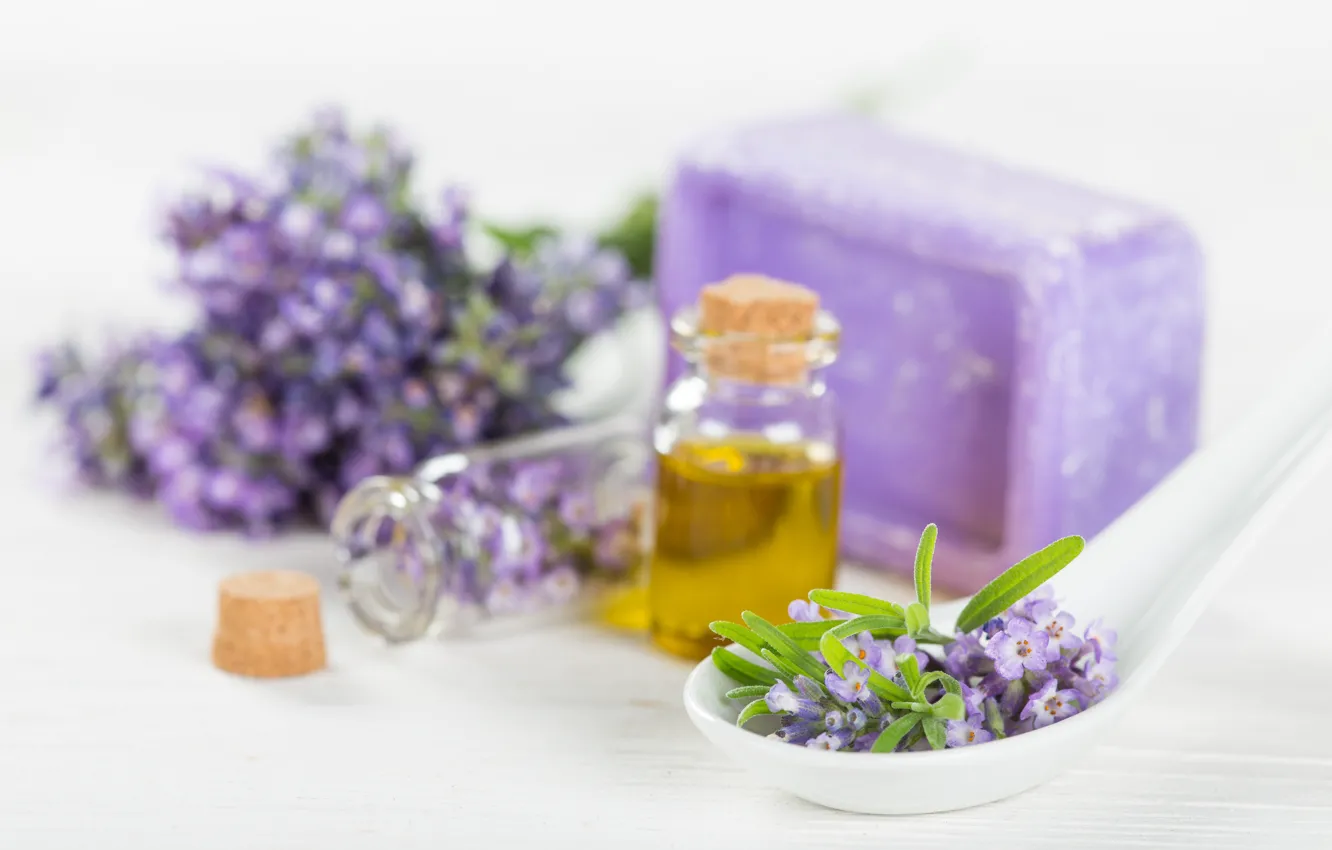 Photo wallpaper flowers, oil, lavender