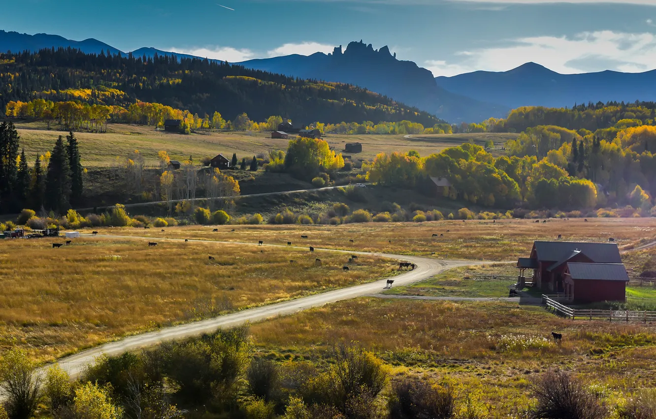 Photo wallpaper road, field, autumn, trees, mountains, hills, village, calm