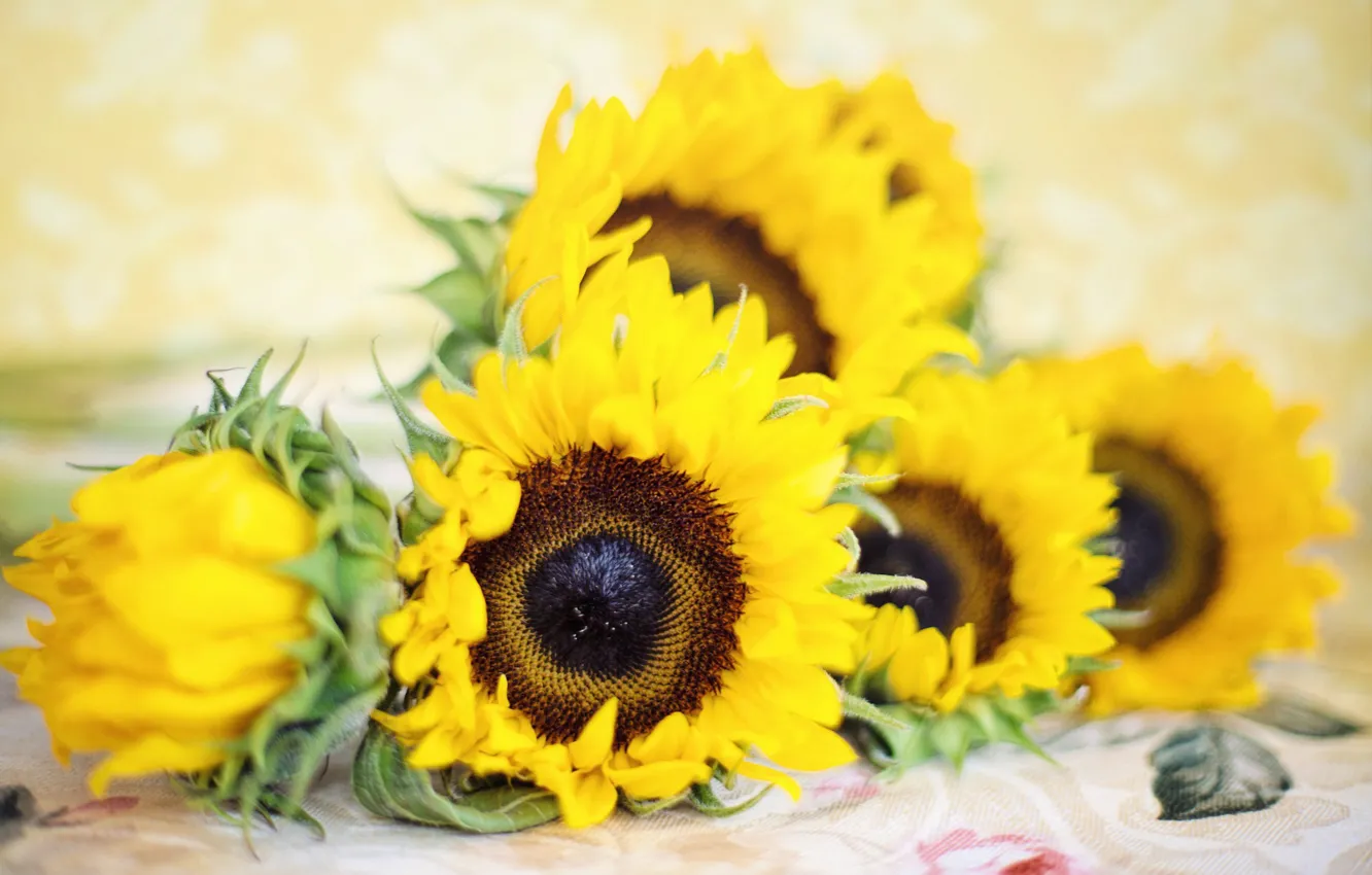 Photo wallpaper sunflowers, flowers, bouquet