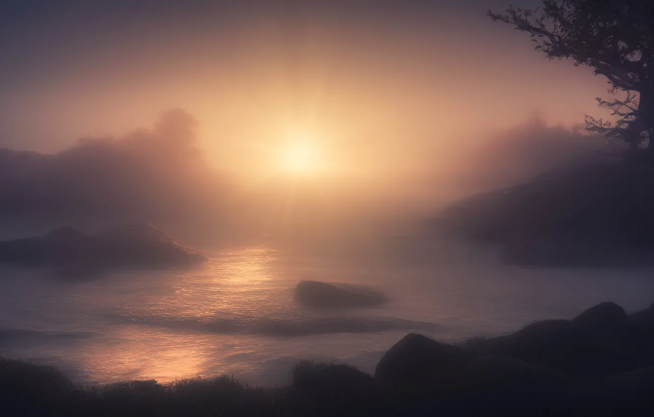Wallpaper the sun, rays, nature, fog, rendering, dawn, shore, blur for ...