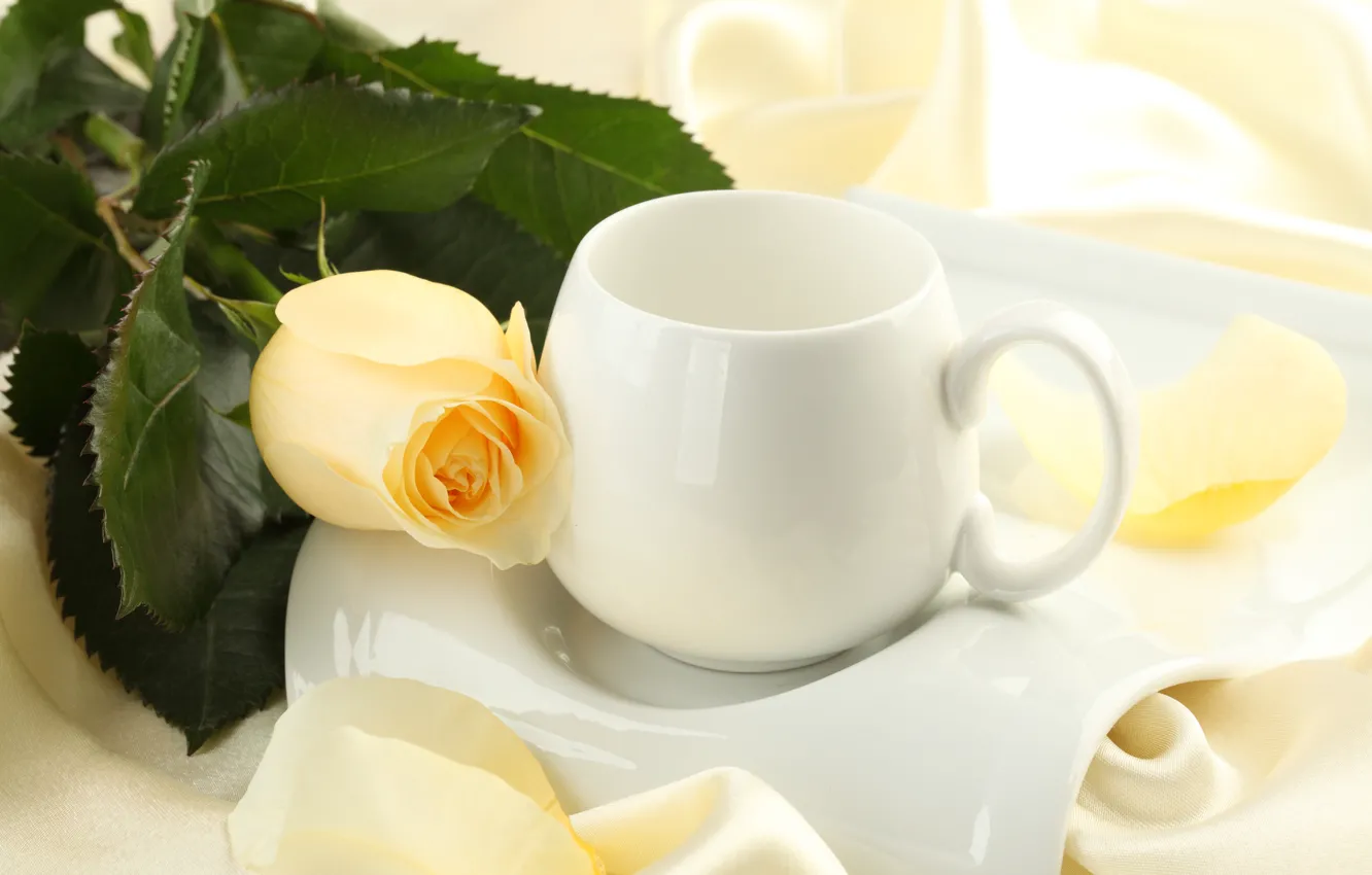 Photo wallpaper flowers, roses, silk, Cup, buds
