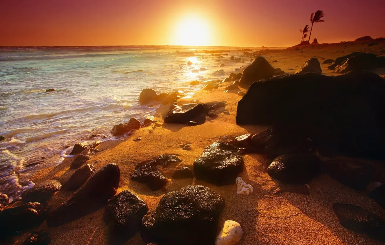 Photo wallpaper landscape, the ocean, shore, sunset, summer sunset