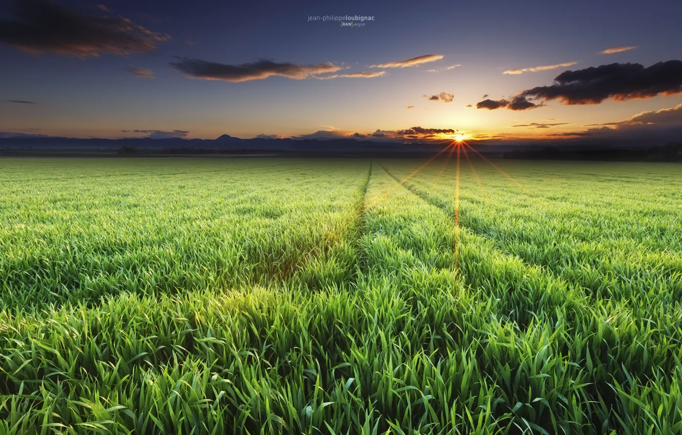 Photo wallpaper field, the sun, rays, Spring, April