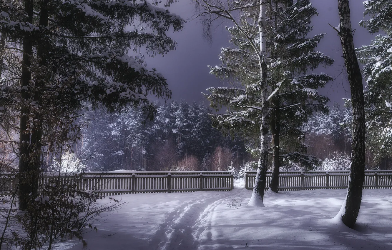 Photo wallpaper winter, forest, snow, trees, the fence, Ukraine, path, Korostyshiv