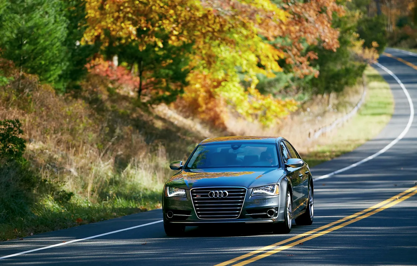 Photo wallpaper Audi, Auto, Road, Trees, Street, Sedan, The front