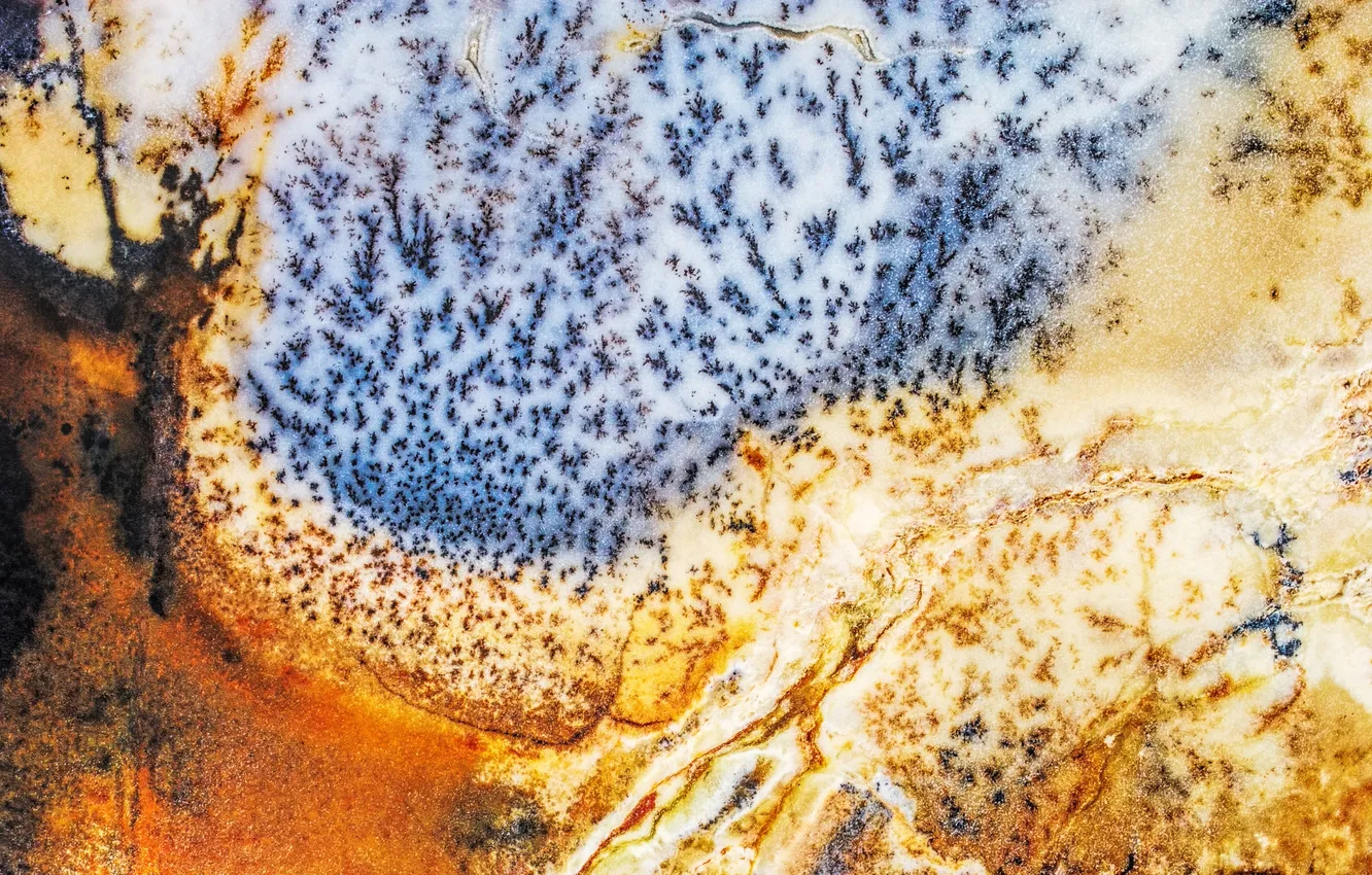 Photo wallpaper stones, pattern, moss