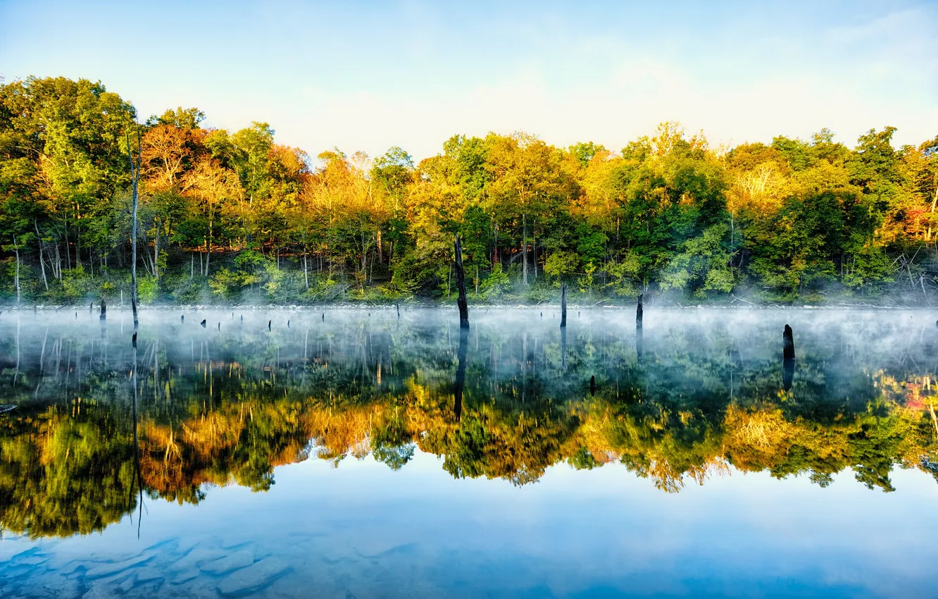 Photo wallpaper the sky, trees, fog, lake, reflection, mirror