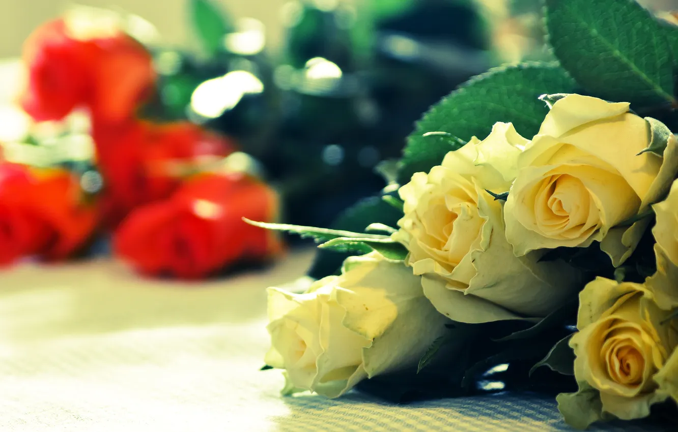 Photo wallpaper yellow, red, roses, bouquet