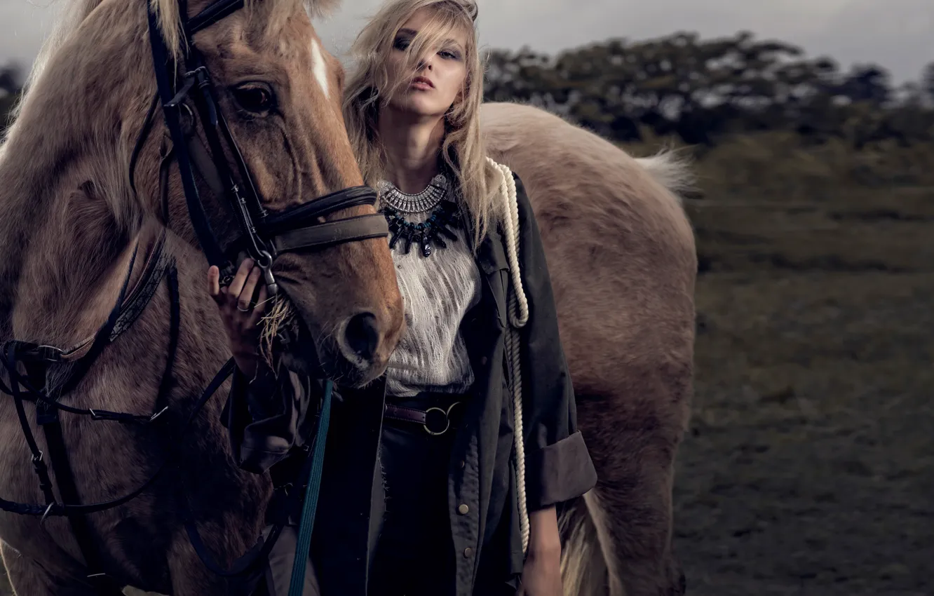 Photo wallpaper girl, horse, Chen Tao Liao