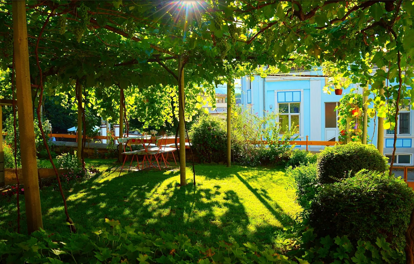 Photo wallpaper House, Plants, Nature, Green, Home, Yard