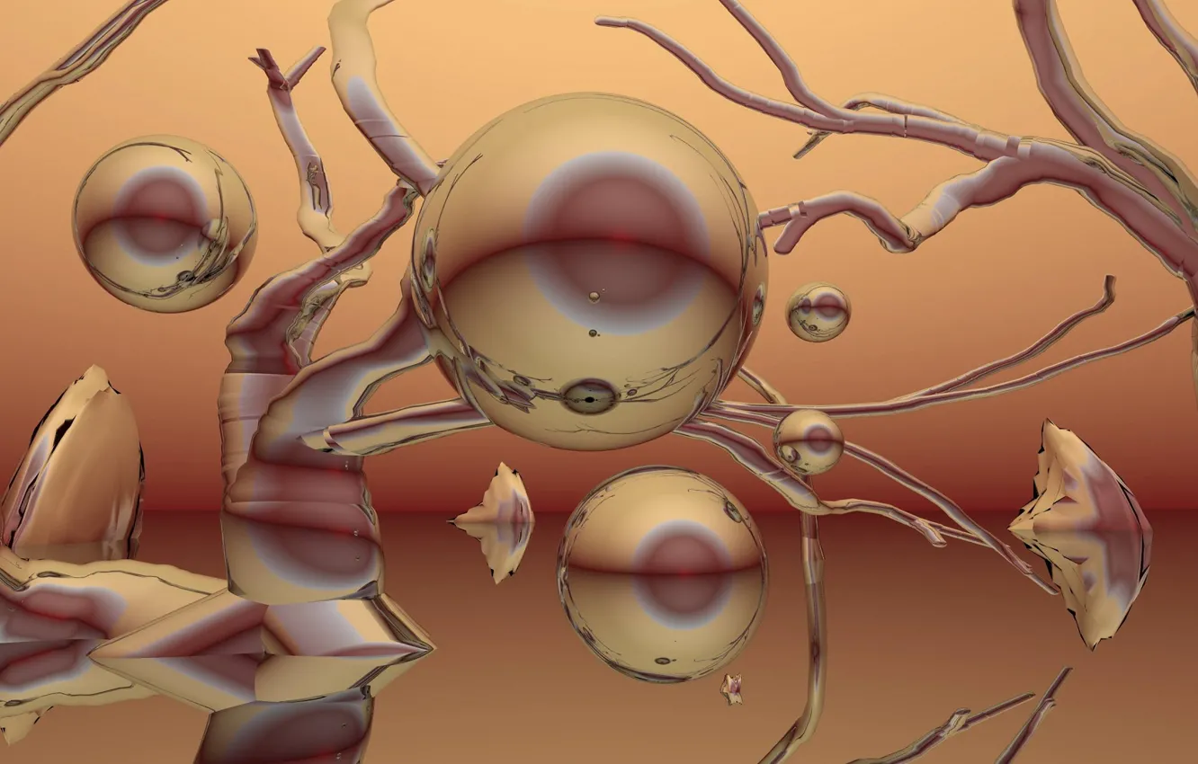 Photo wallpaper branches, balls, brown