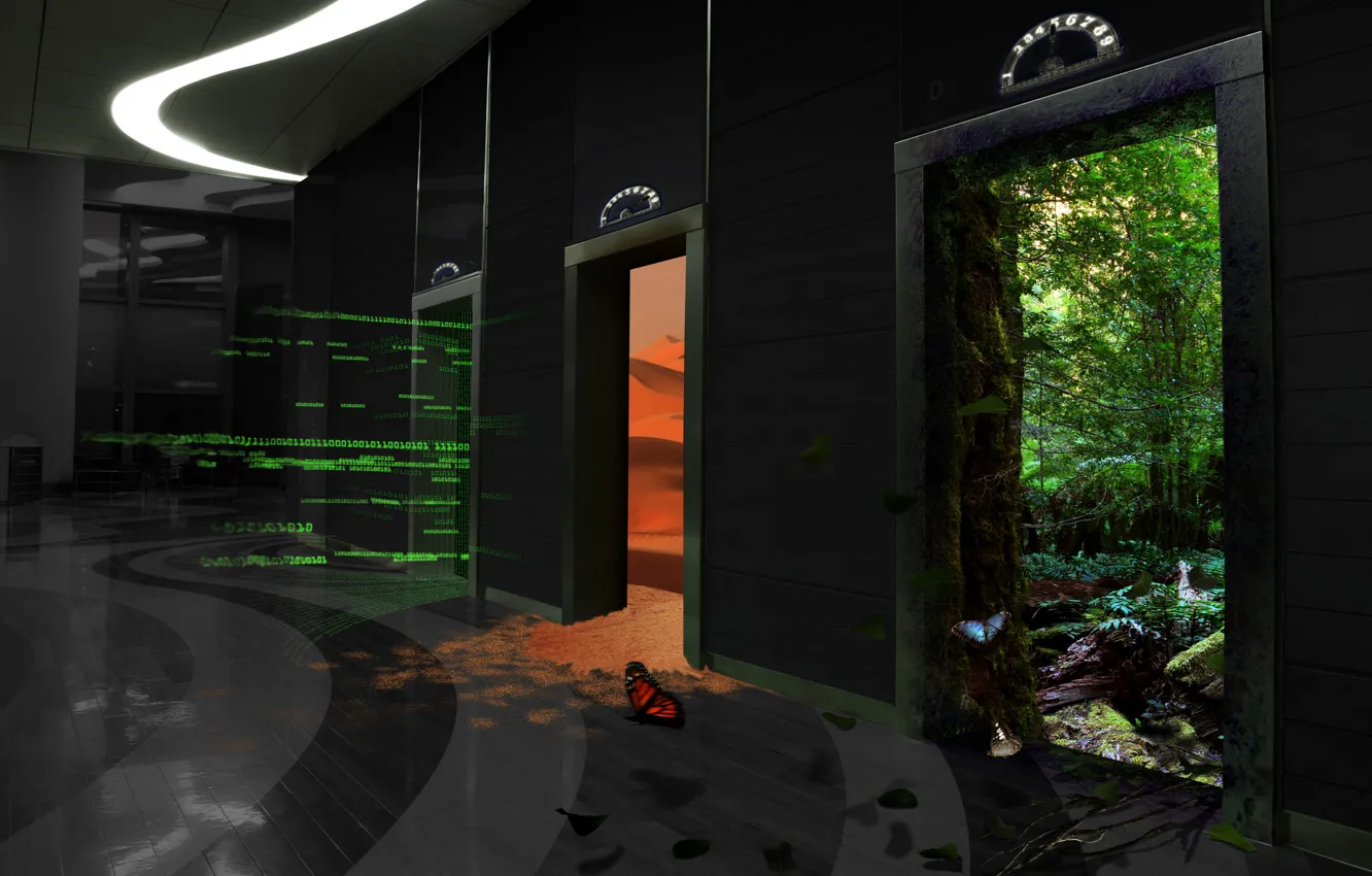 Photo wallpaper forest, butterfly, desert, the door, floors, lift