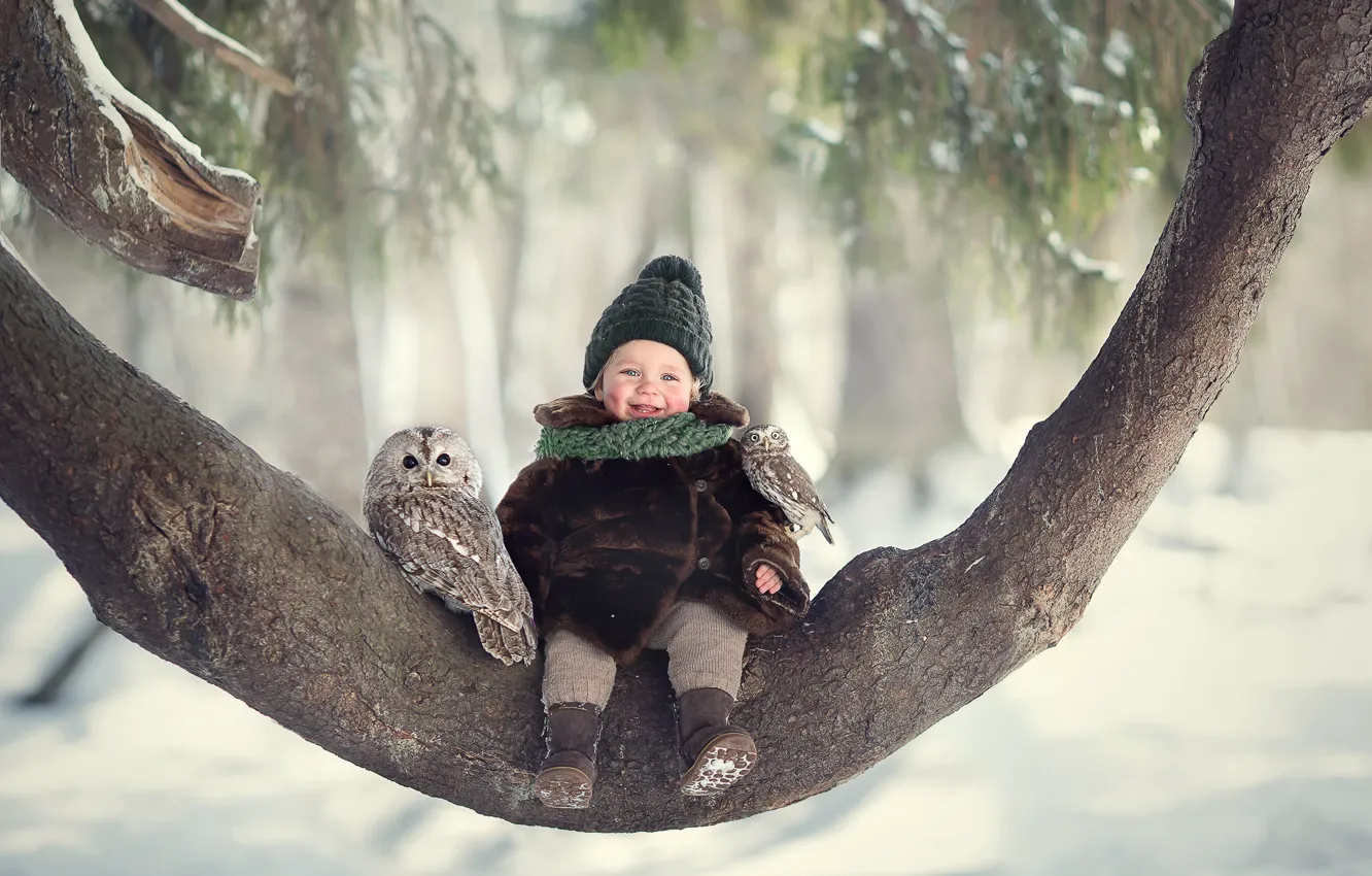 Photo wallpaper winter, joy, birds, tree, owl, laughter, girl, baby