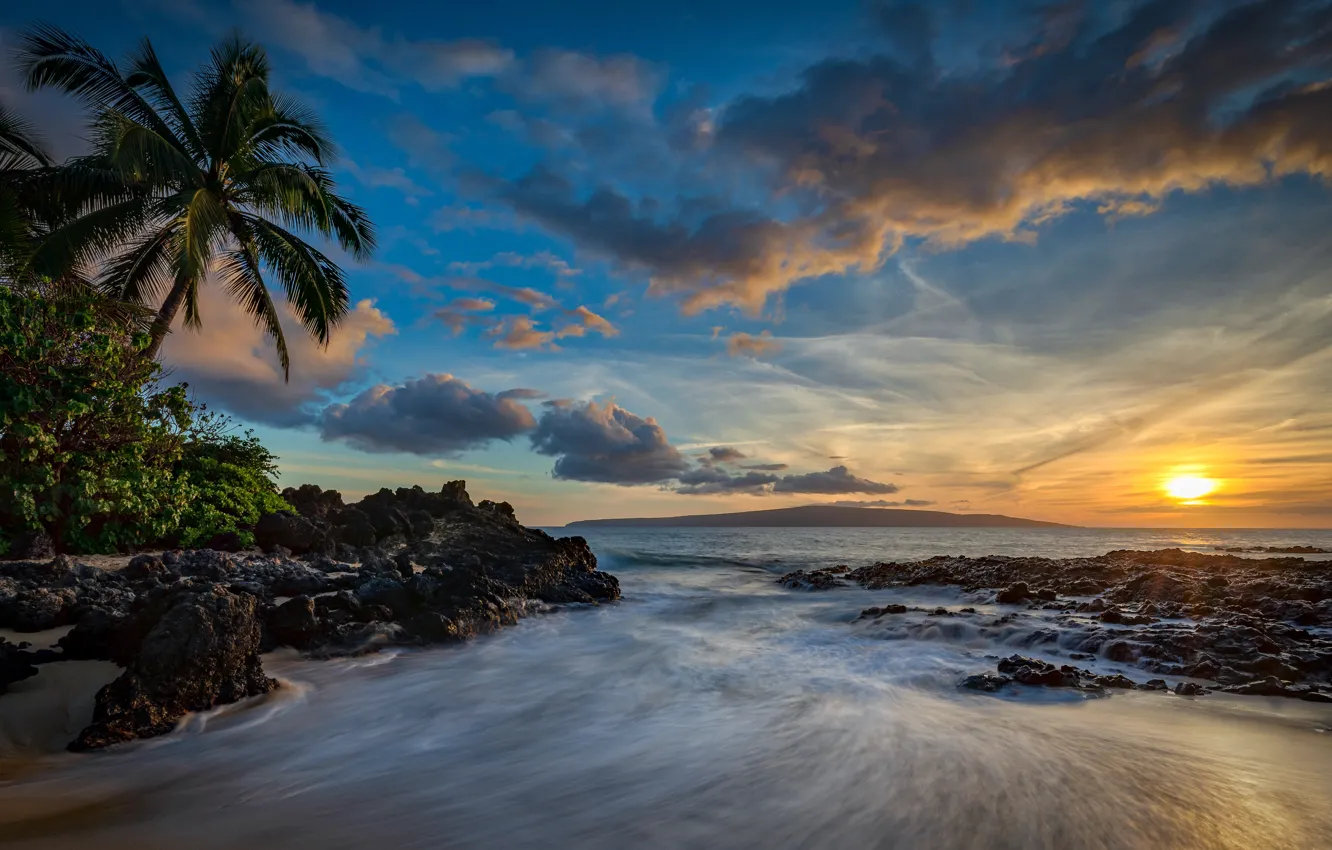 Photo wallpaper sea, beach, palm trees, shore