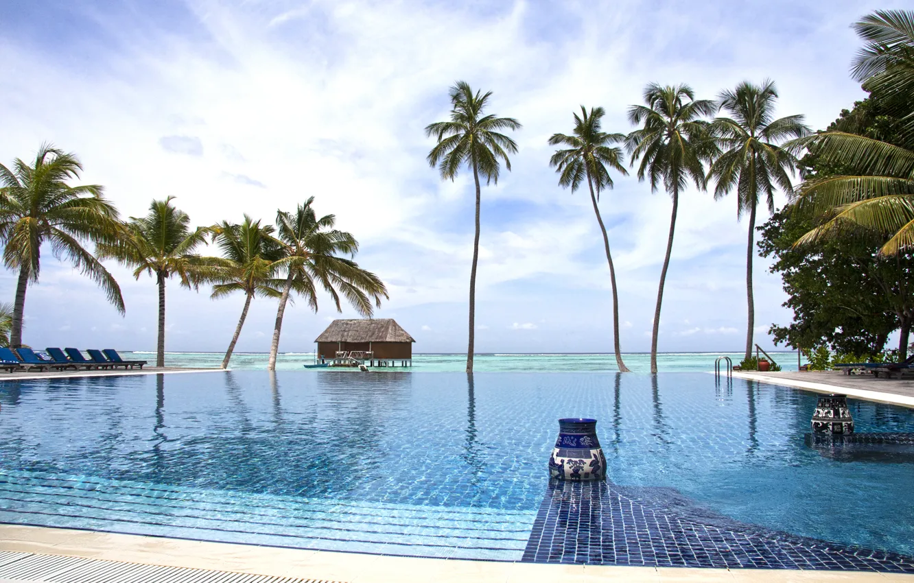 Photo wallpaper palm trees, the ocean, pool, resort, Maldives, Indian Ocean, Meeru