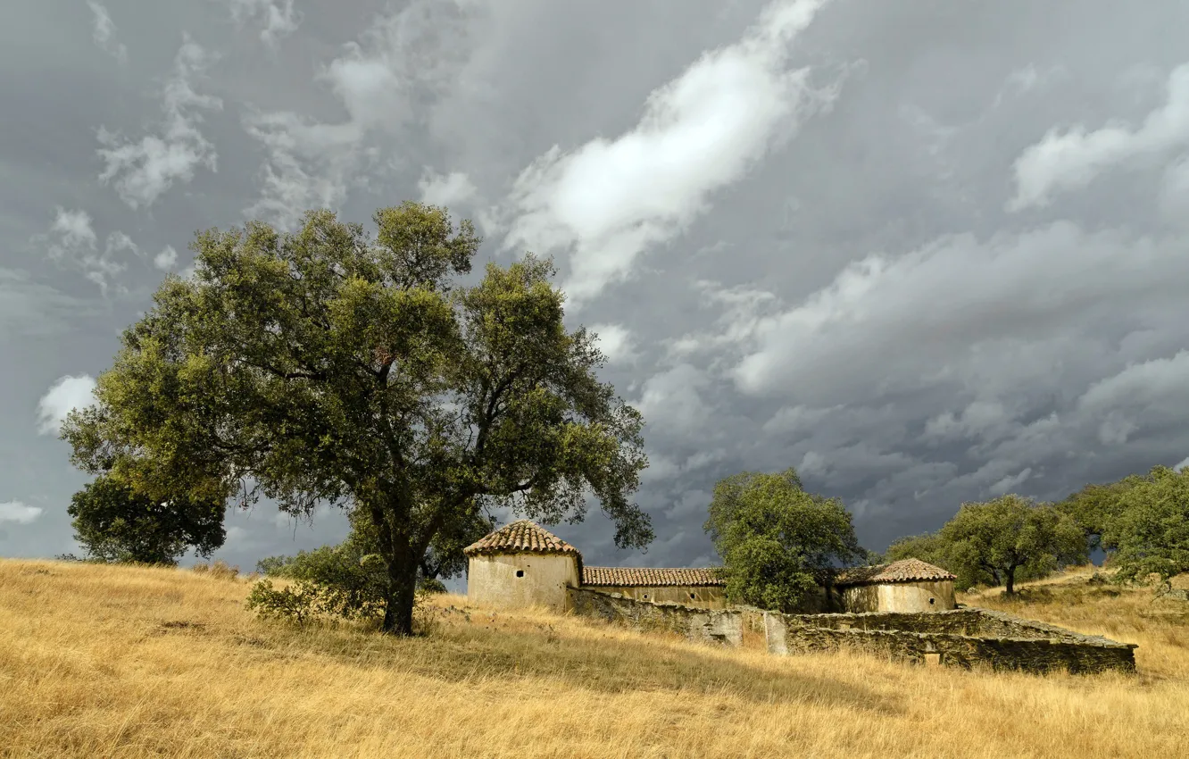 Photo wallpaper field, house, tree