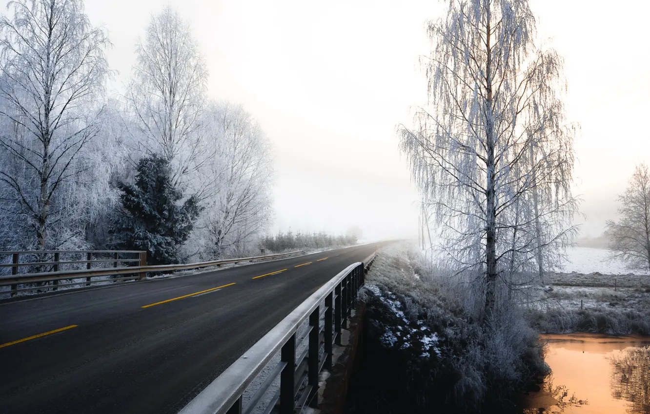 Photo wallpaper winter, road, fog, morning