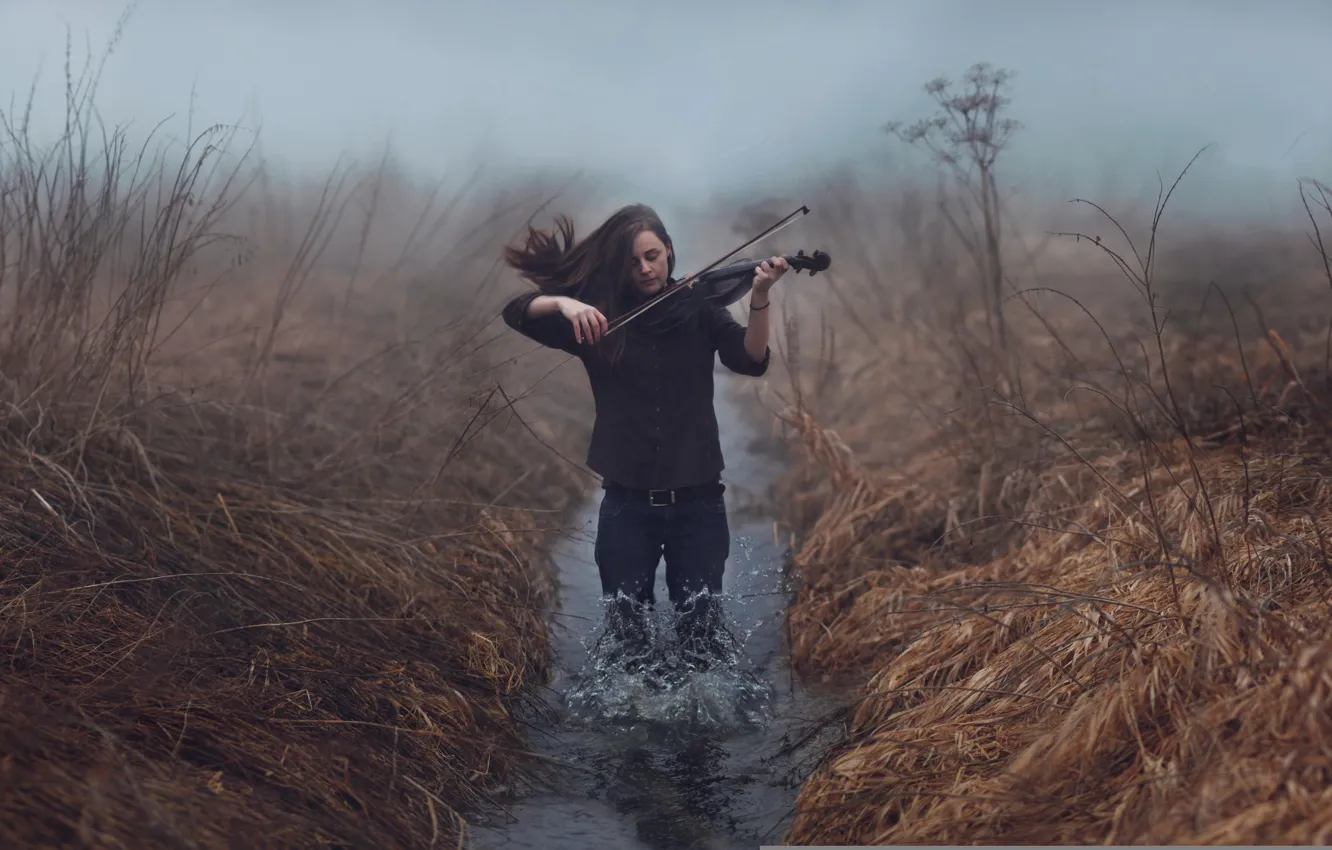 Photo wallpaper girl, music, violin