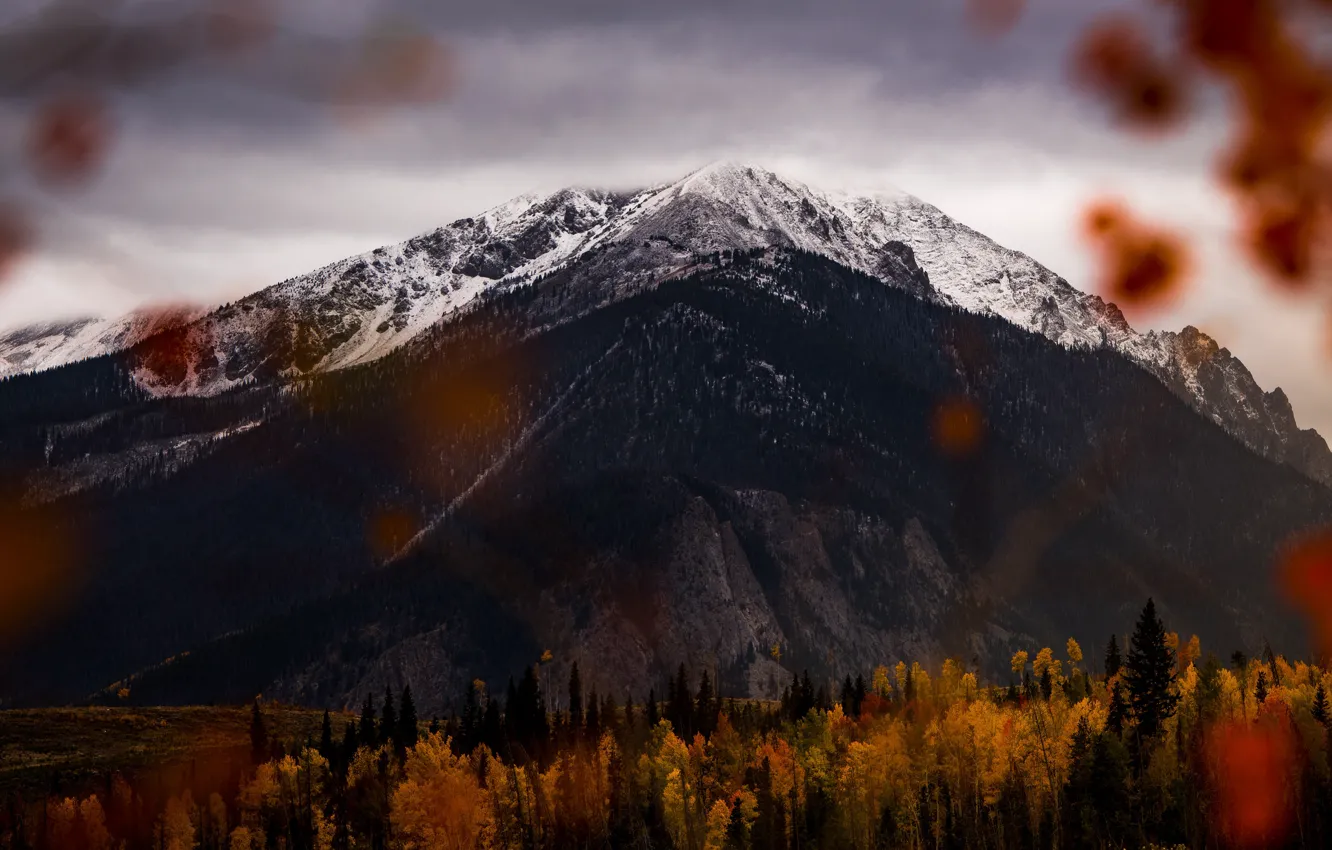 Photo wallpaper tops, clouds, mountains, snowy peaks, bokeh, foliage, overcast, view