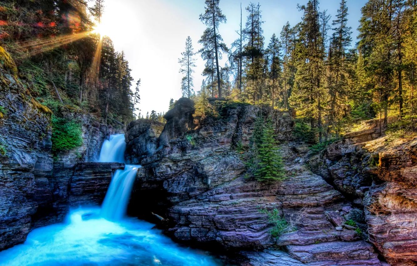 Photo wallpaper forest, the sky, trees, river, rocks, waterfall, HDR, stream
