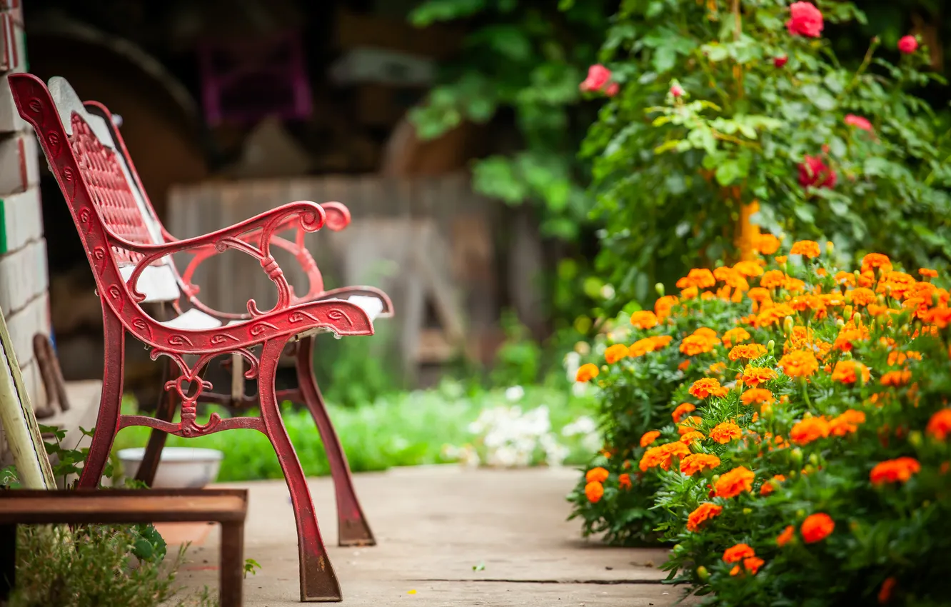 Photo wallpaper flowers, beauty, shop